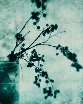 'Frozen' van RAR Kramer