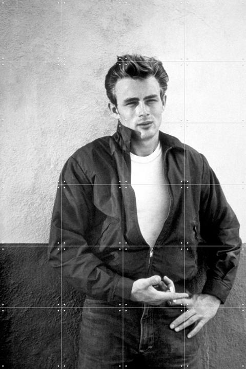 Rebel without a cause