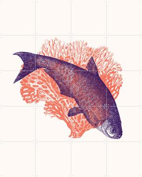 'Curve' by Florent Bodart