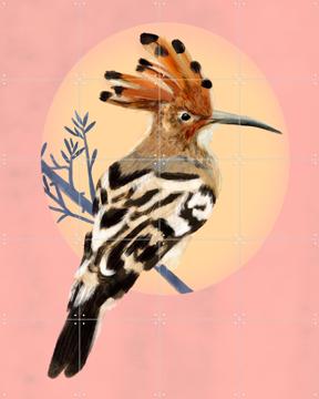 'Hoopoe' by Esther Sepers