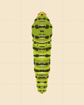 'The Queen Page Caterpillar' von Studio Kars + Boom