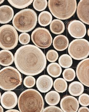 'Cut Timber' van Ingrid Beddoes