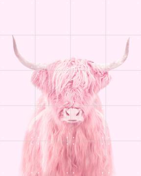 IXXI - Highland Cow door Paul Fuentes 