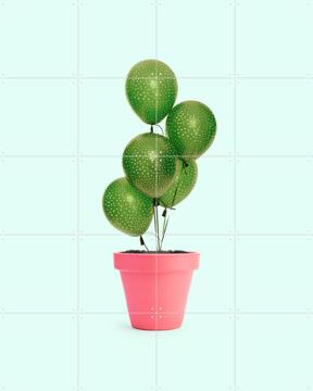 'Cactus Balloon' by Paul Fuentes