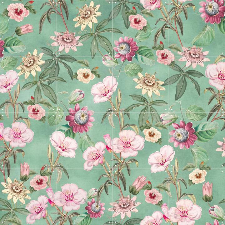 Tropical Vintage Passiflora and Hibiscus