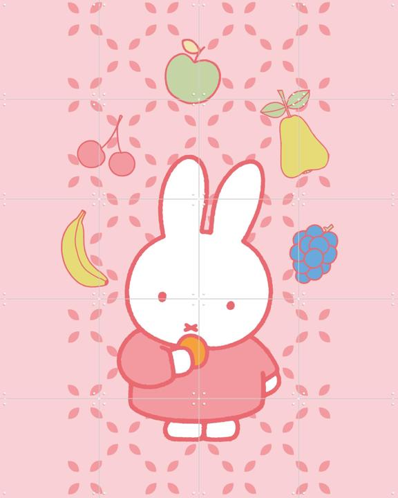 Nijntje met Fruit Roze