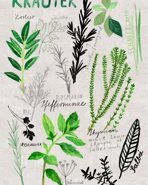 'Kräuter' van Signorinah