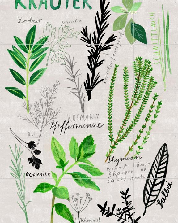 Kräuter