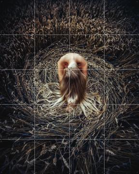 'Keeper of the Earth' van Ruslan Bolgov