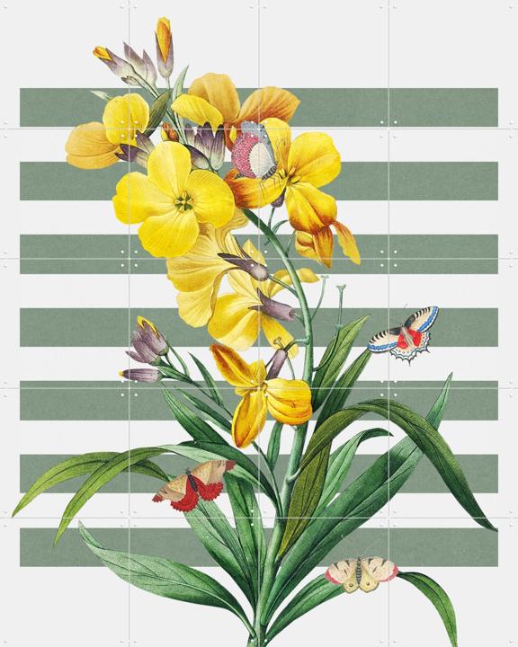 The Spring Collection