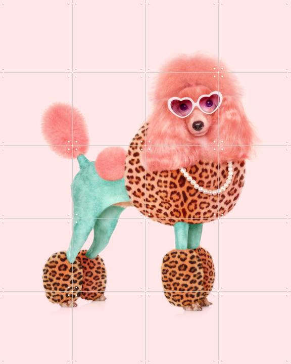 Funky Poodle