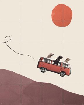 'Adventure Gang' van Maarten Léon