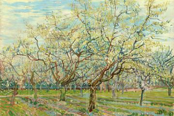 IXXI - The White Orchard by Vincent van Gogh & Van Gogh Museum