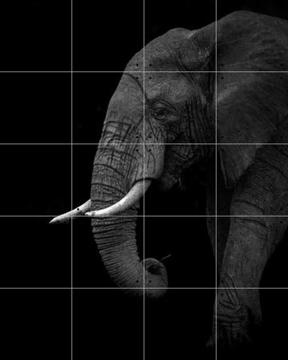 'Elephant' par Ahmed Sobhi & 1X