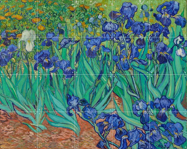 Irises