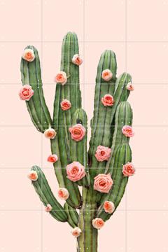 IXXI - Cactus and Roses by Paul Fuentes 