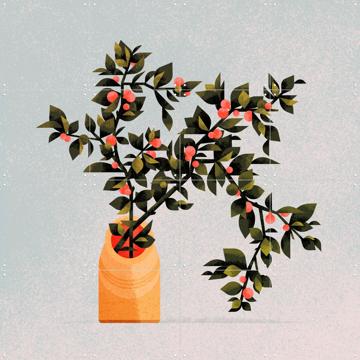 'Plont 1' par Studio Muti