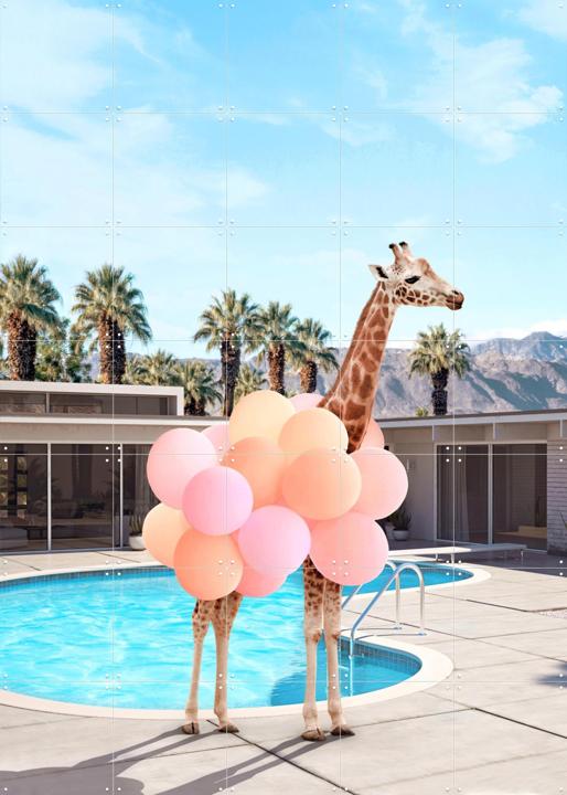 Giraffe Palm Springs