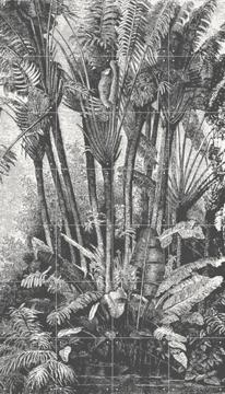 'Palms in Water' von Aster Edition