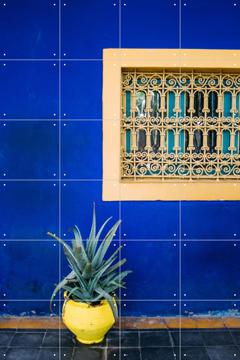 'Yellow and Blue Agave' van Pati Photography