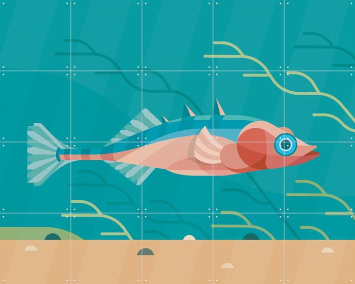 Driedoornige Stekelbaars 