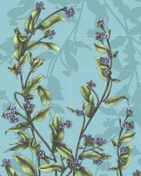 'Forget-Me-Not' par Cecilia Battaini