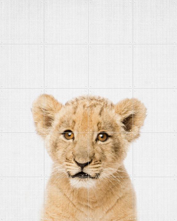 Baby lion - Brown eyes