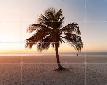 'Summer Vibes Palm' van Claire Droppert