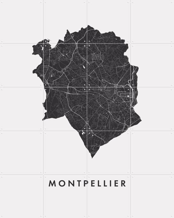 Montpellier City Map