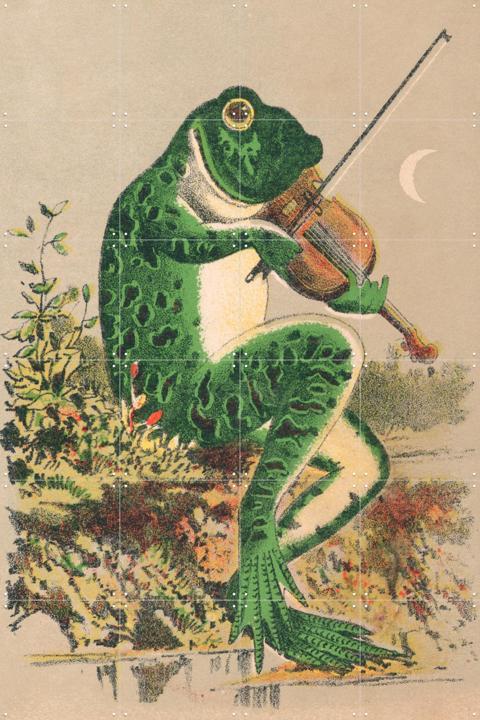 Frog playing violin