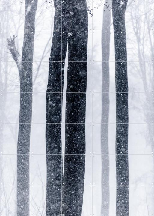 Snow Trees 2