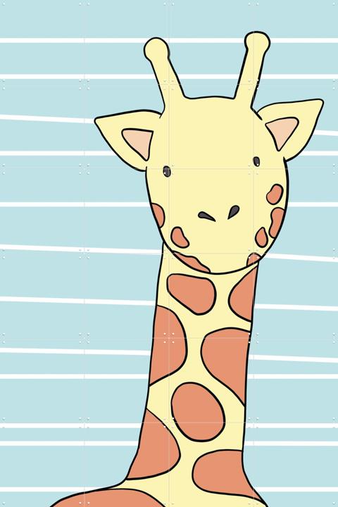 Little Giraffe