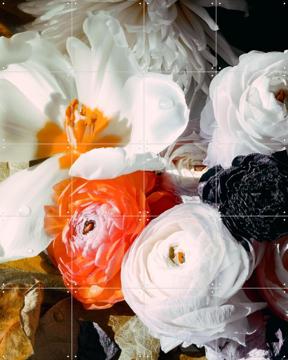 'Ranunculus 10' von Leigh Viner