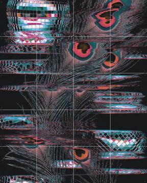 'Strut Your Stuff' by Amber Lauder