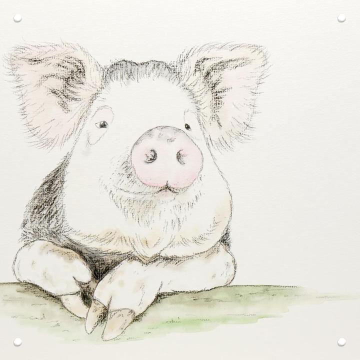 Happy Pig, by Natalie Bruns - IXXI