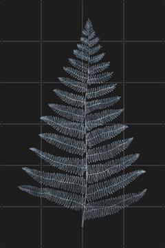 'Botanica Minimalistica' von Kubistika