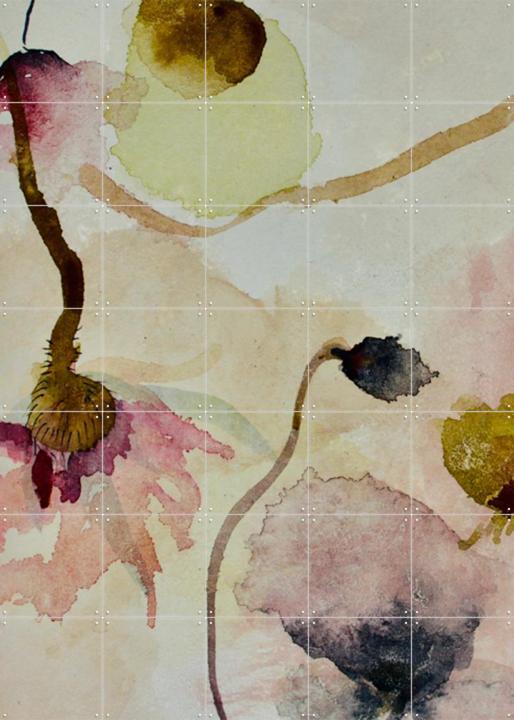 In The Eyes Of Alice