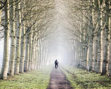 'One Man Two Wheels' by Claire Droppert