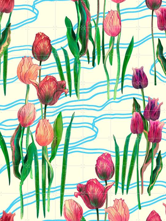 Tulipaire