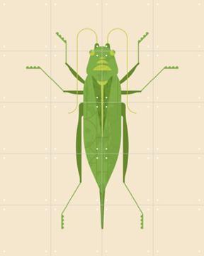 'Large Green Saber Grasshopper' van Studio Kars + Boom