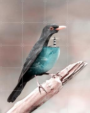 'Aqua Birdo' von Julien Tabet