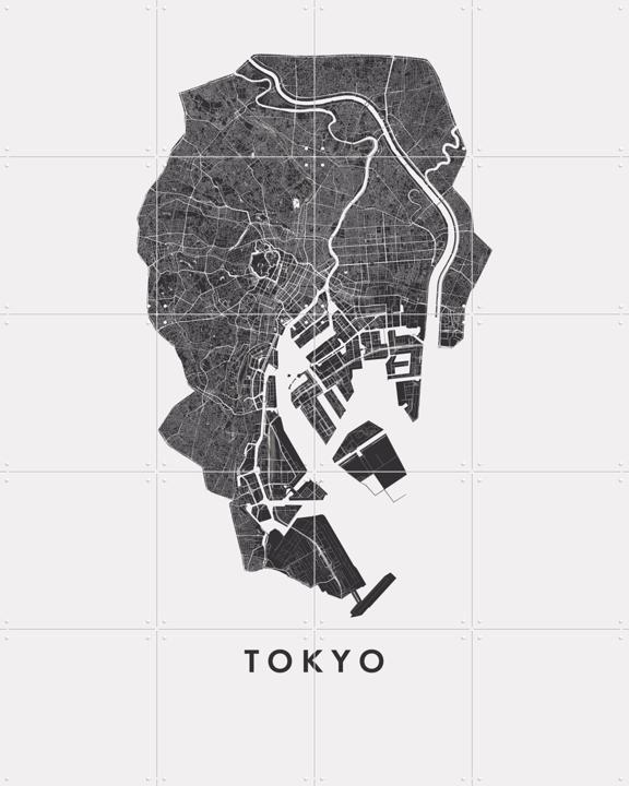 Tokyo City Map