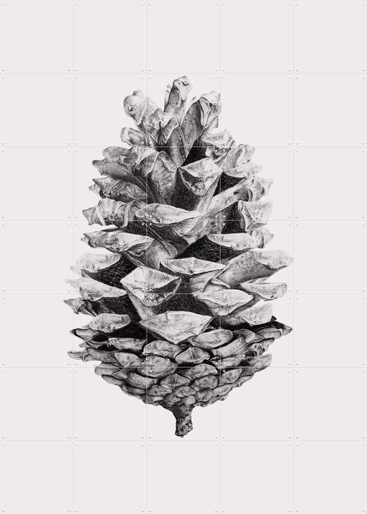 Pinecone