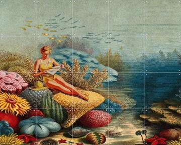 'Beach Day' van Extrovisions