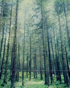 'Altopiano' von Angelo Cerantola