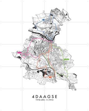 'De Nijmeegse 4Daagse 160km - 2025' by Art in Maps