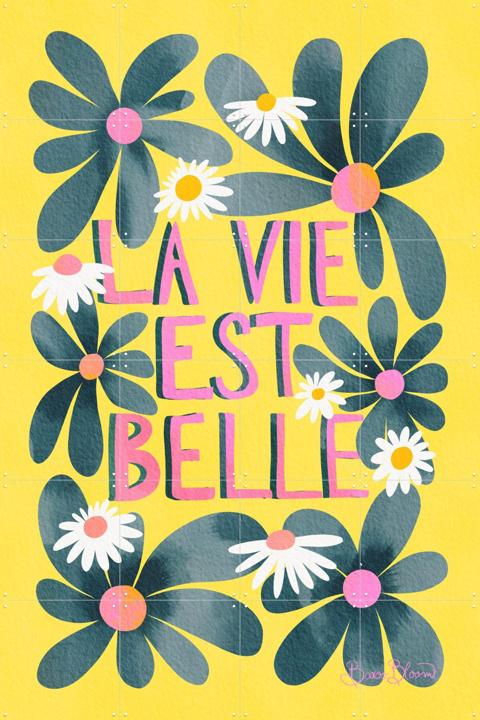 La Vie Est Belle Daisies