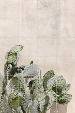IXXI - Cactus on the Wall by Photolovers 