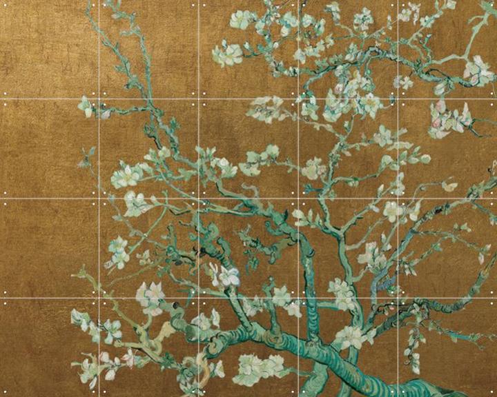 Almond Blossom Gold