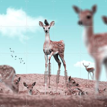 'Out of the Box' van Julien Tabet